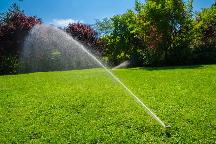 How Landscaping Irrigation Conserve Water Resources in Lee's Summit MO 64081